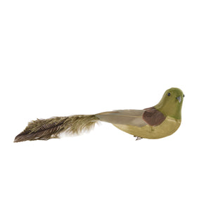 Forrest Green Bushy Tailed Clip Bird