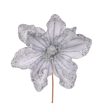 Silver Beaded Magnolia