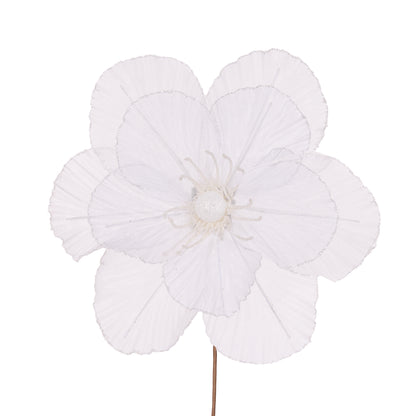 Sheer White Camellia