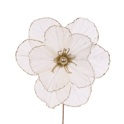 Sheer Ivory Camellia