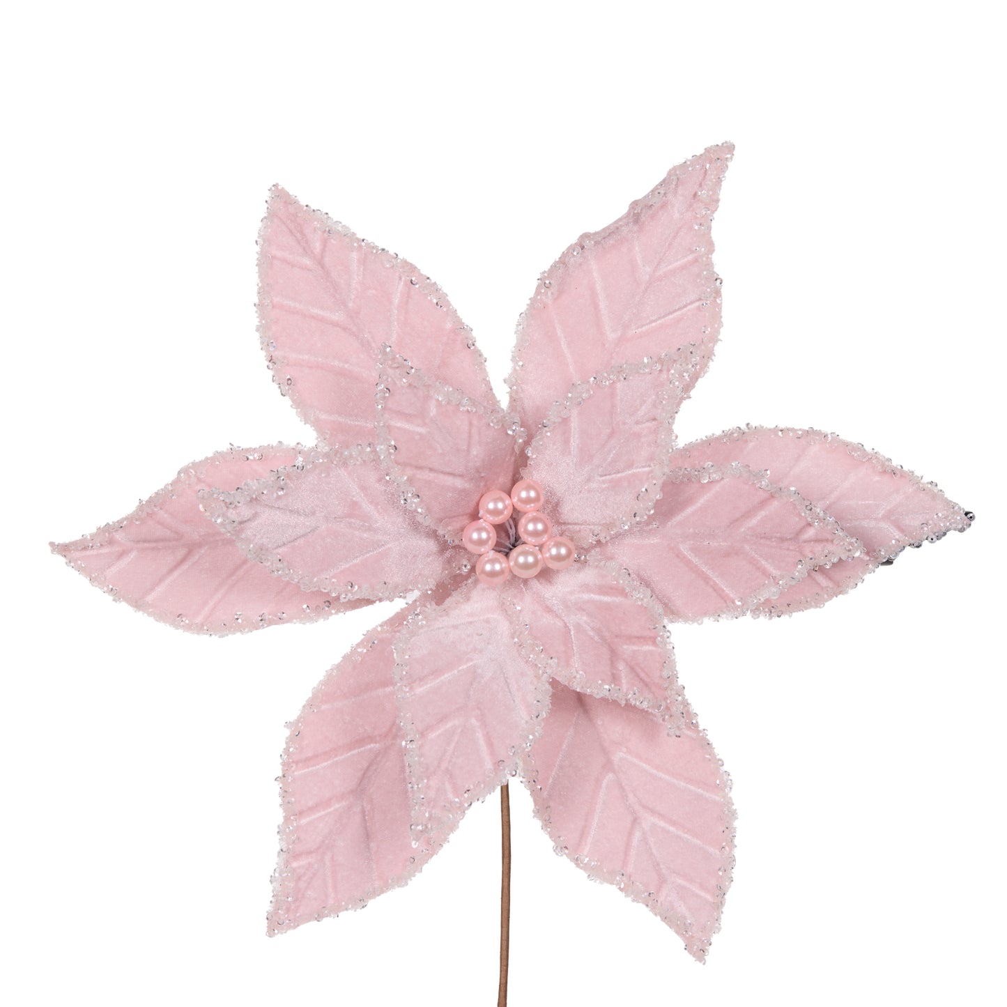 Frosted Pink Poinsettia