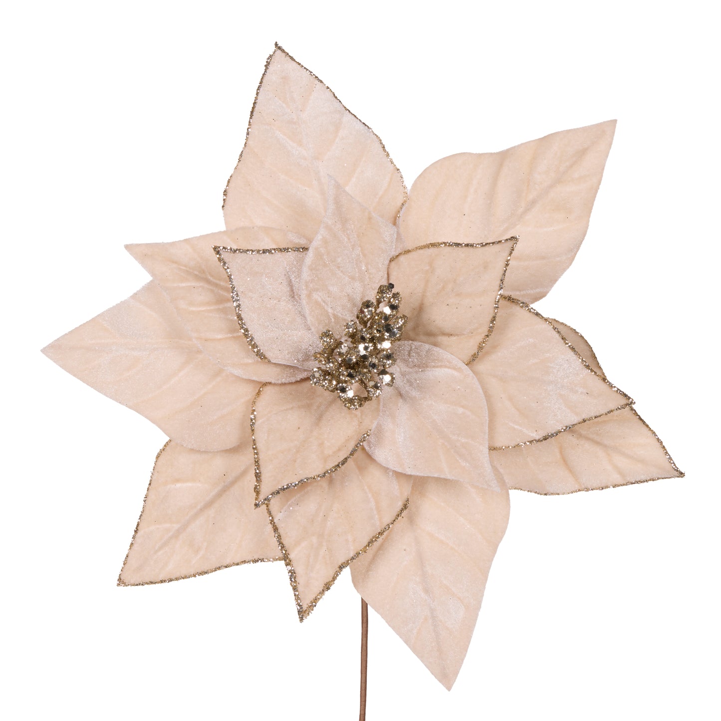 Minimal Champagne Velour Poinsettia