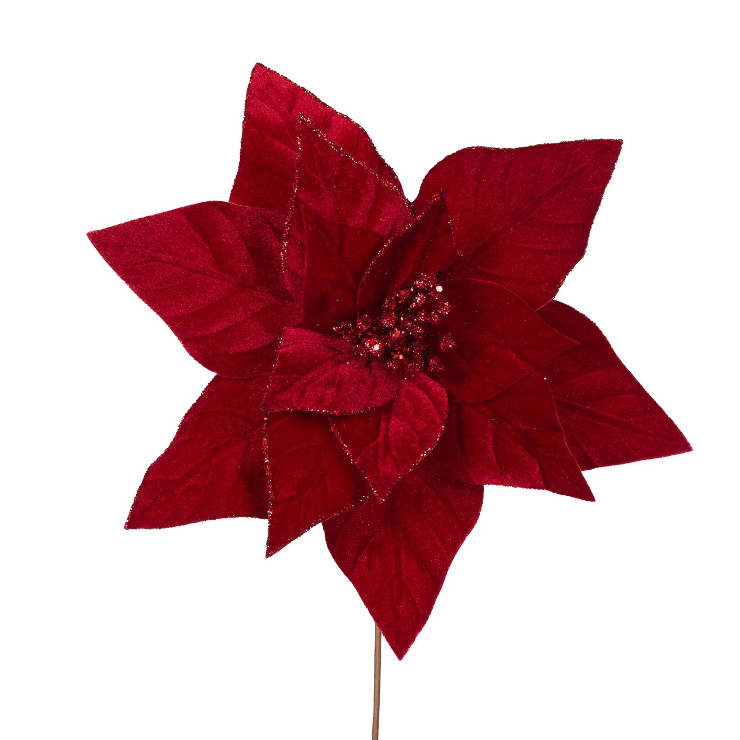 Minimal Red Velour Poinsettia