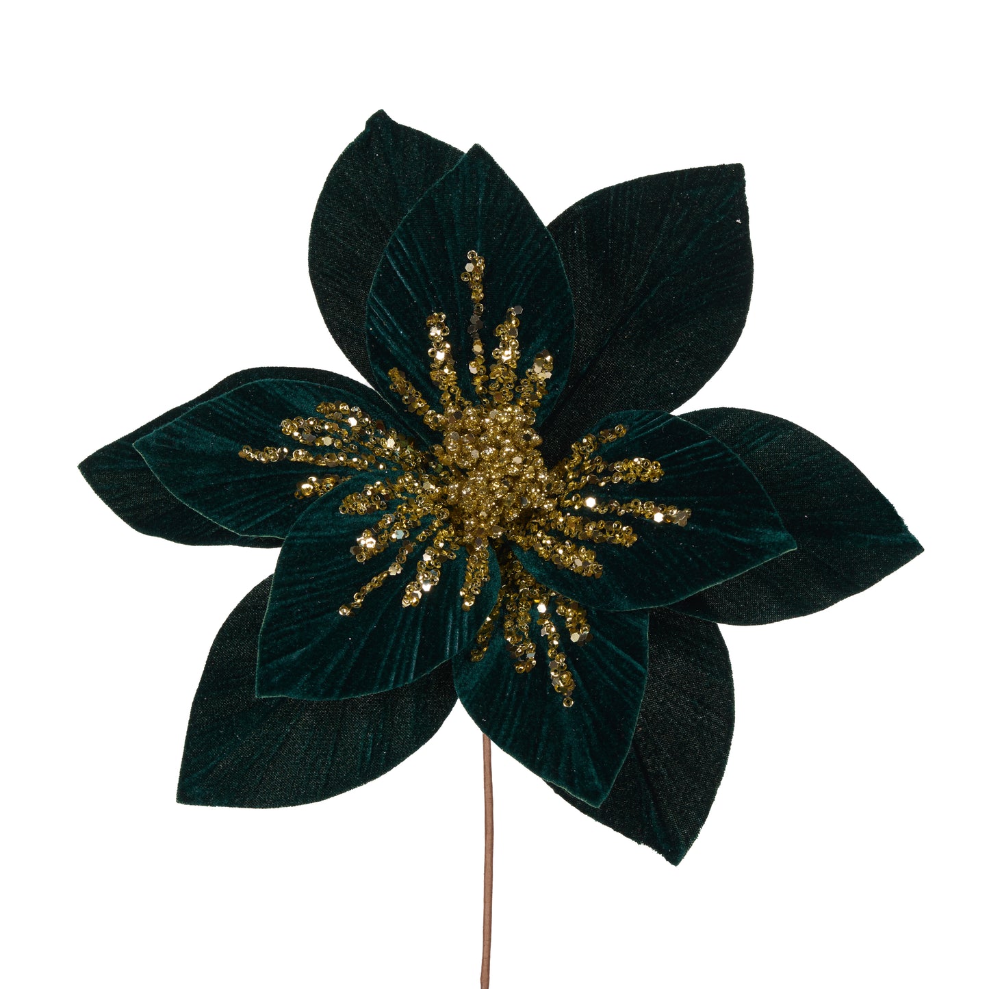 Emerald Velour Starburst Poinsettia