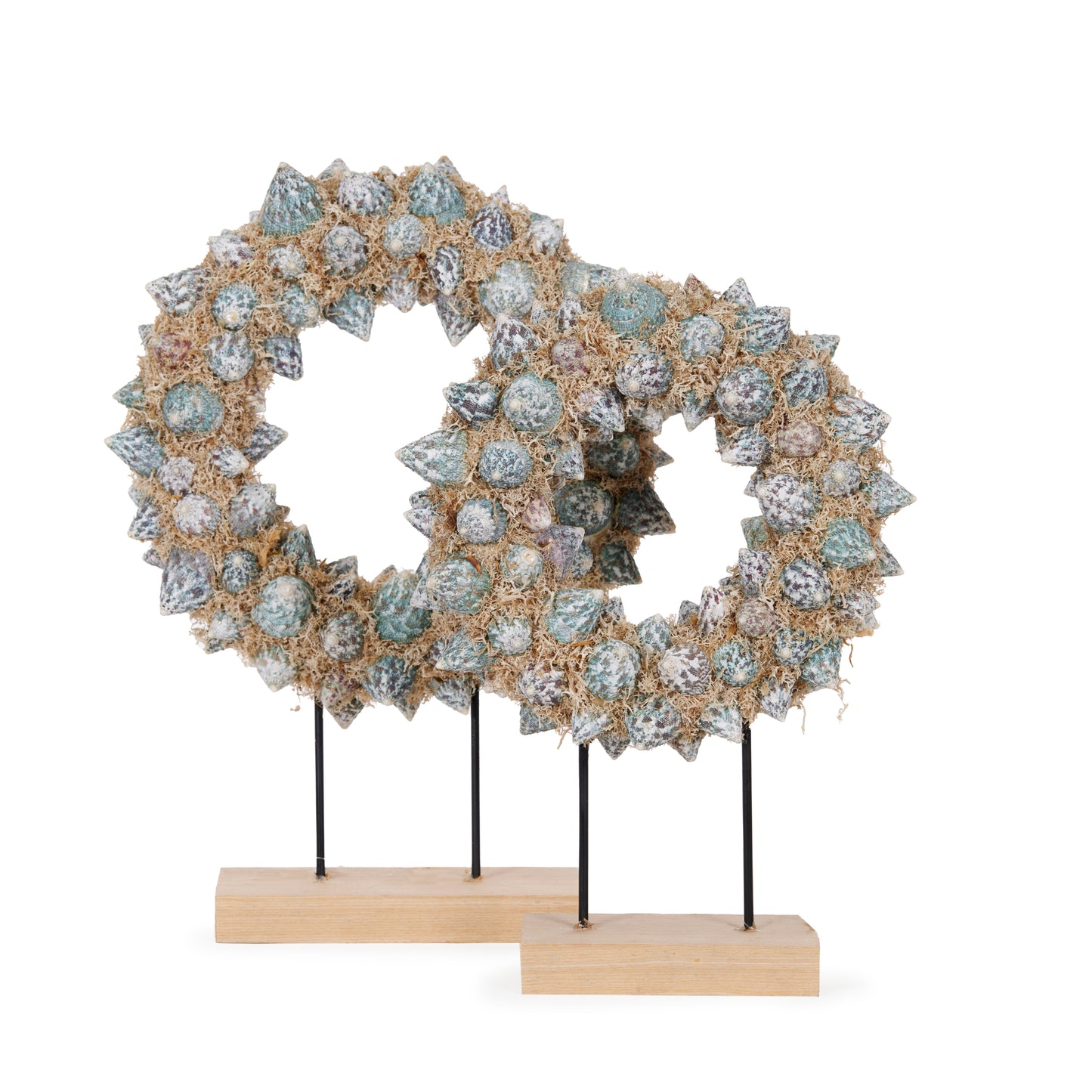 42 Cm Azure Shell Wreath On Stand