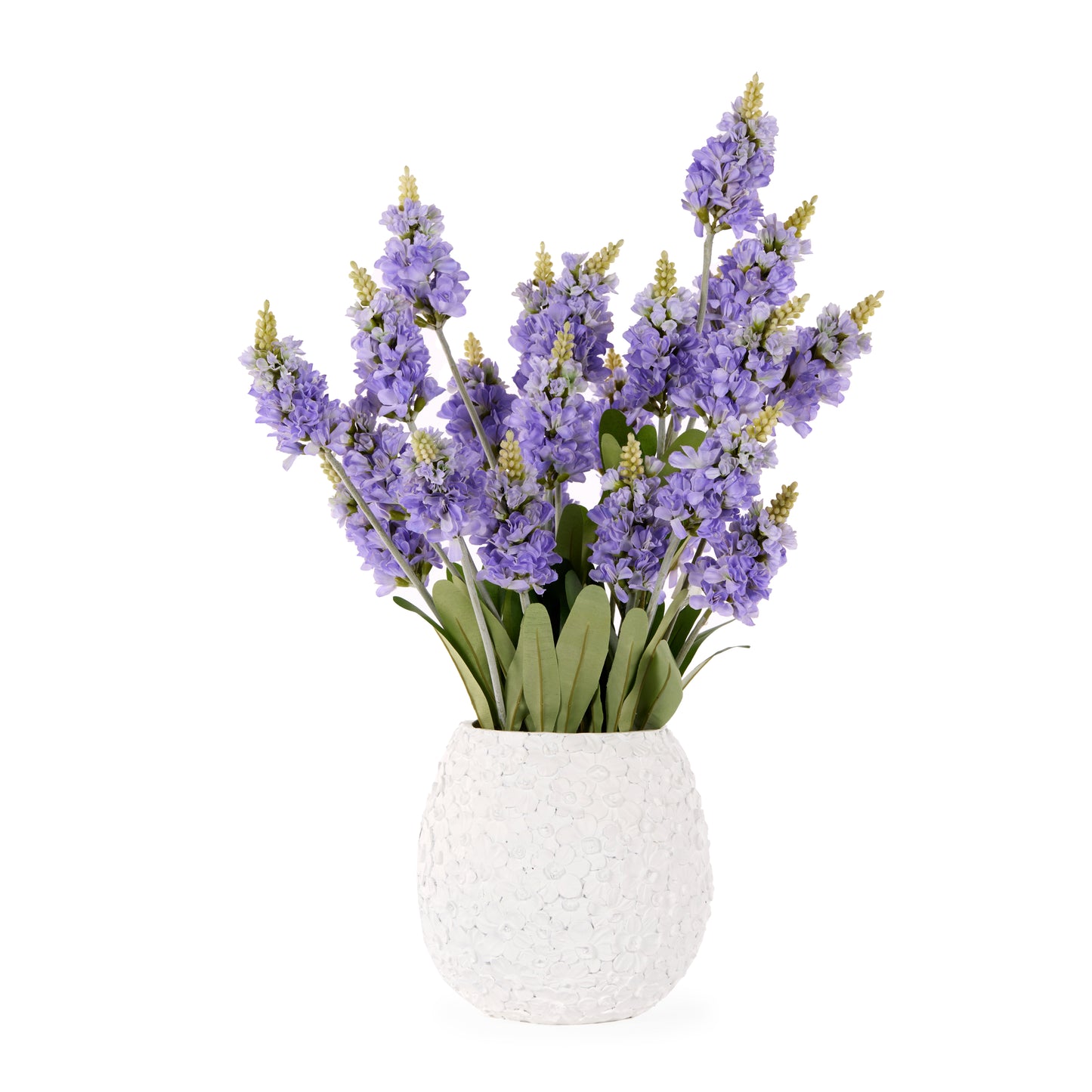 Potted Grape Hyacinth Arrangement