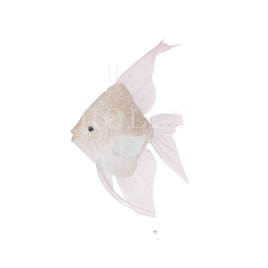 40 Cm Ivory Glittered Fish