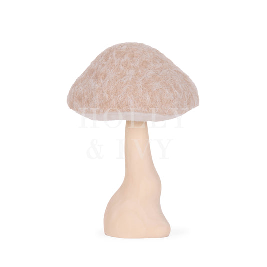 22 Cm Natural Toadstool