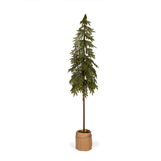 173 Cm Potted Nordic Pine Tree