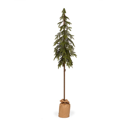 143 Cm Potted Nordic Pine Tree