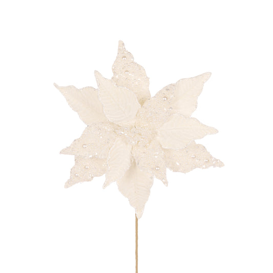 IVORY PEARL POINSETTIA