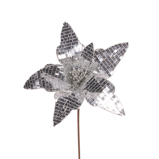 DISCO SILVER POINSETTIA