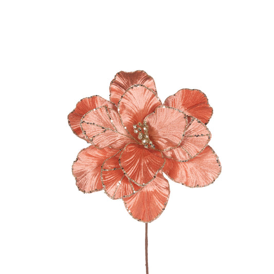 CORAL VELVET MAGNOLIA