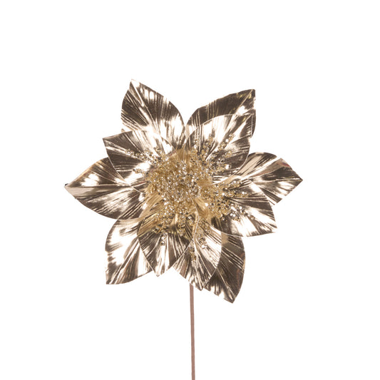 HIGH SHINE BEADED CHAMPAGNE POINSETTIA