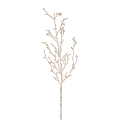CHAMPAGNE CORAL SEA SPRAY