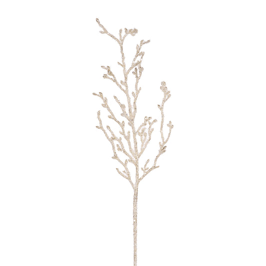 CHAMPAGNE CORAL SEA SPRAY