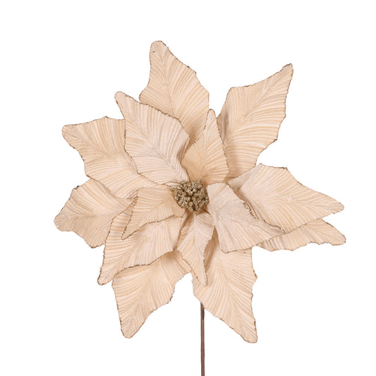 LUXE CHAMPAGNE POINSETTIA