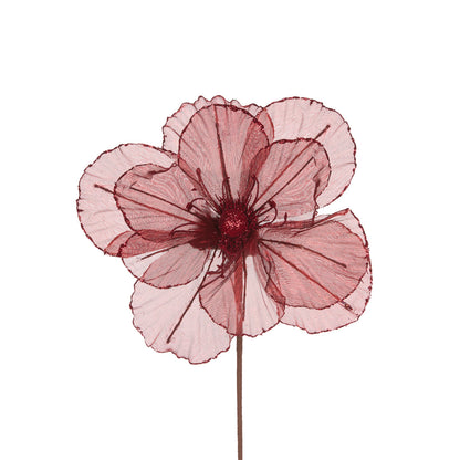 SHEER BURGUNDY CAMELLIA