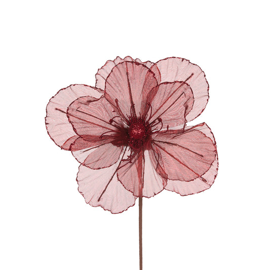 SHEER BURGUNDY CAMELLIA