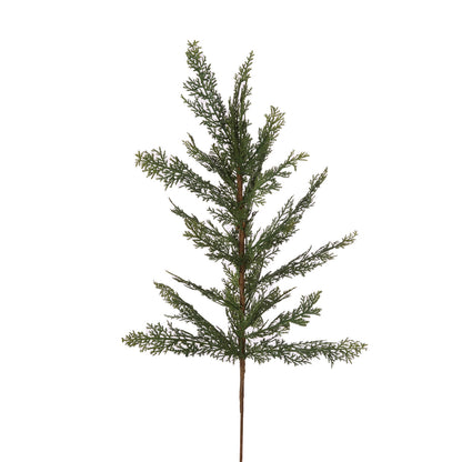 Conifer Pick
