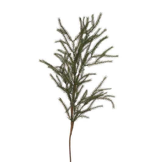 NORWEGIAN SPRUCE PICK