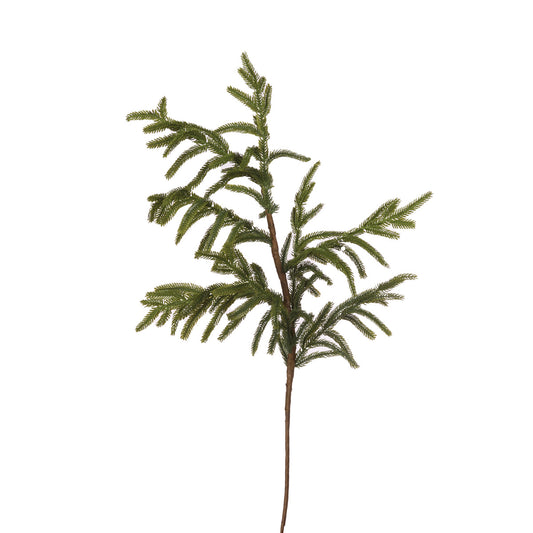 EVERGREEN SPRUCE PICK