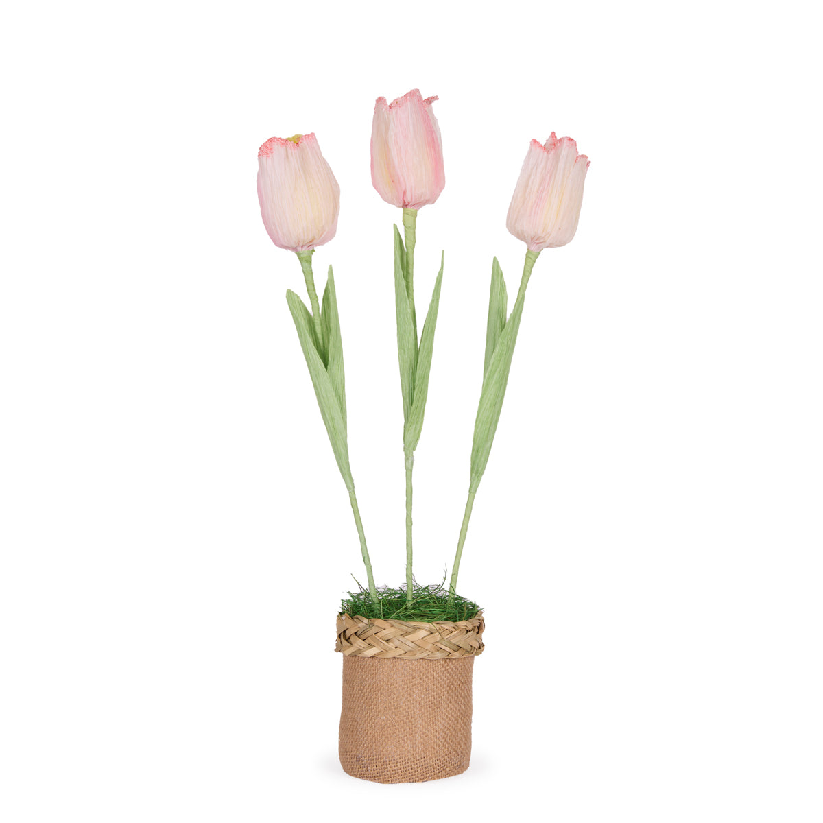 FLORET TULIP POT BLUSH