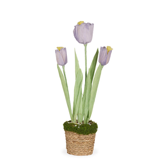 FLORET TULIP POT LILAC