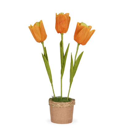 TANGO TULIP POT ORANGE