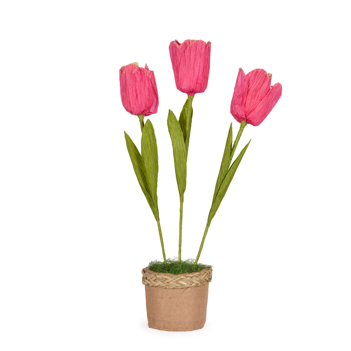 TANGO TULIP POT HOT PINK