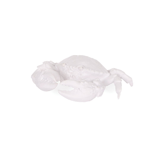 WHITE SMALL CRAB