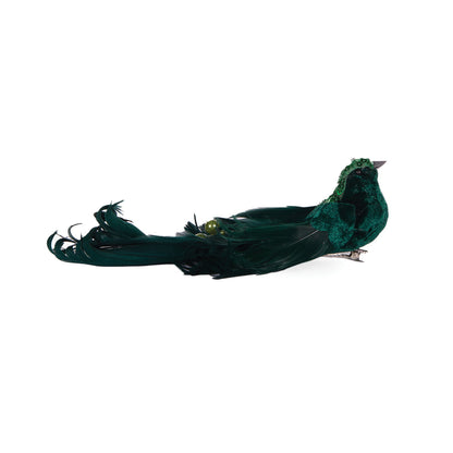EMERALD ADORNED BIRD
