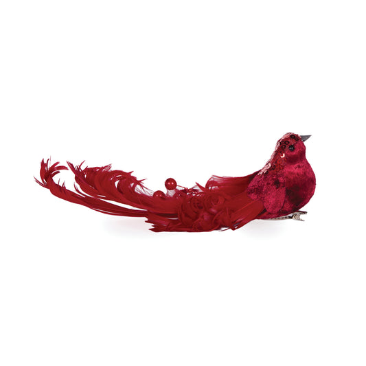 RED ADORNED BIRD