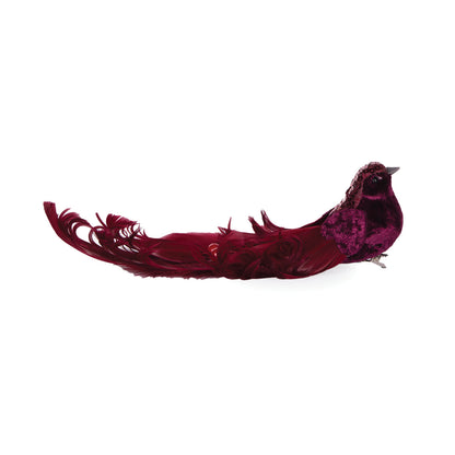 BURGUNDY ADORNED BIRD