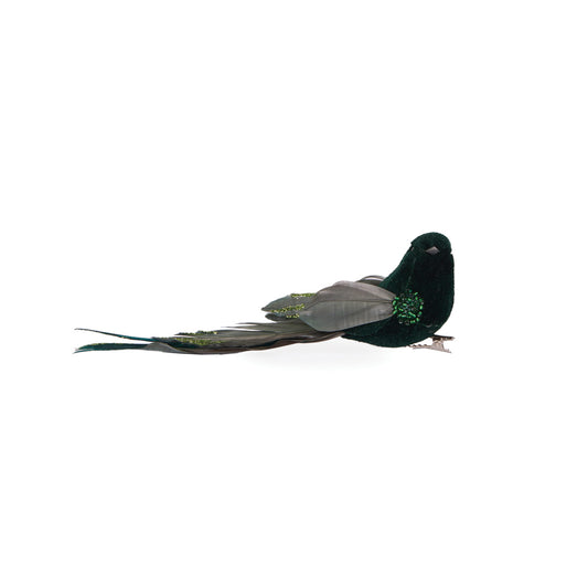 EMERALD LONG TAILED FEATHER BIRD