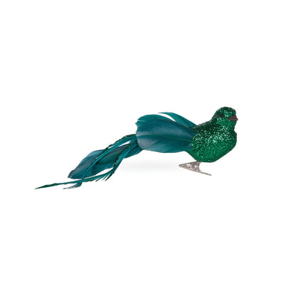 Green Long Tailed Feather Bird