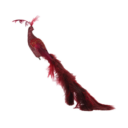 Red Peacock