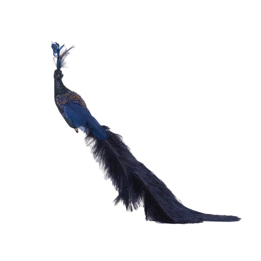NAVY PEACOCK