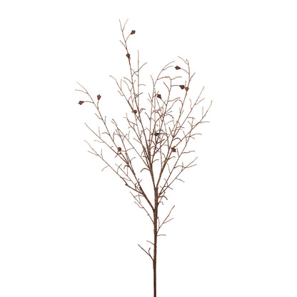 Seed Pod Branch