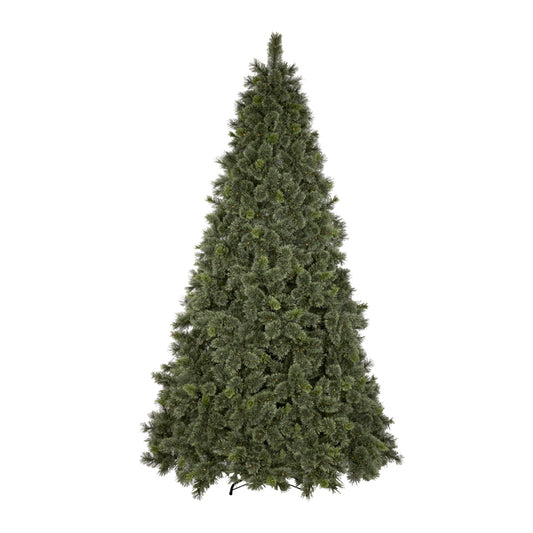 9.5 FT FROSTED SCOTCH PINE TREE - 2600 LED