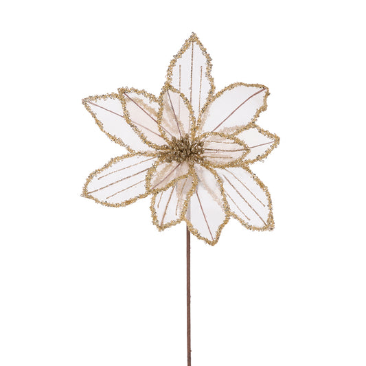CHAMPAGNE GLITTERED ORGANZA POINSETTIA