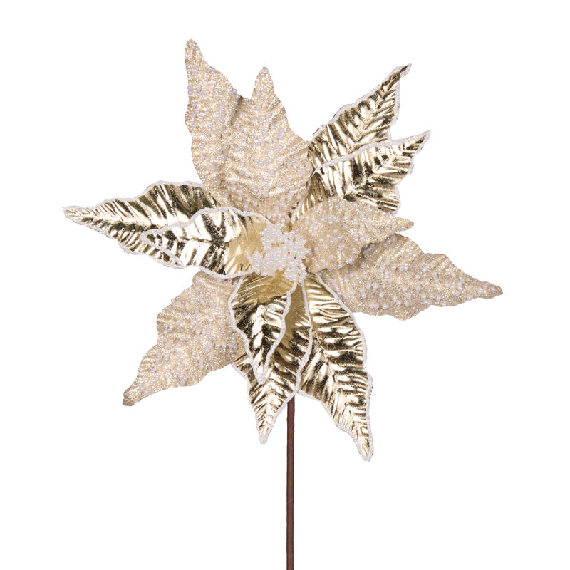 CHAMPAGNE PEARL LEAF POINSETTIA