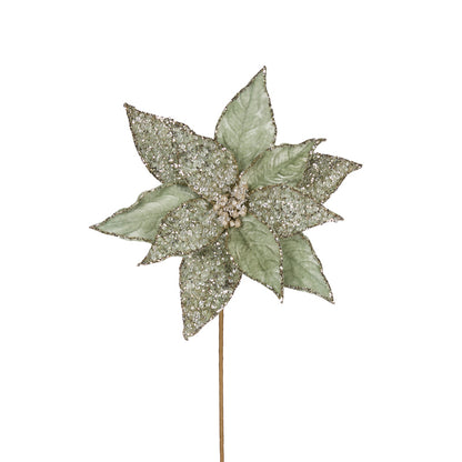 MINT FROSTED POINSETTIA