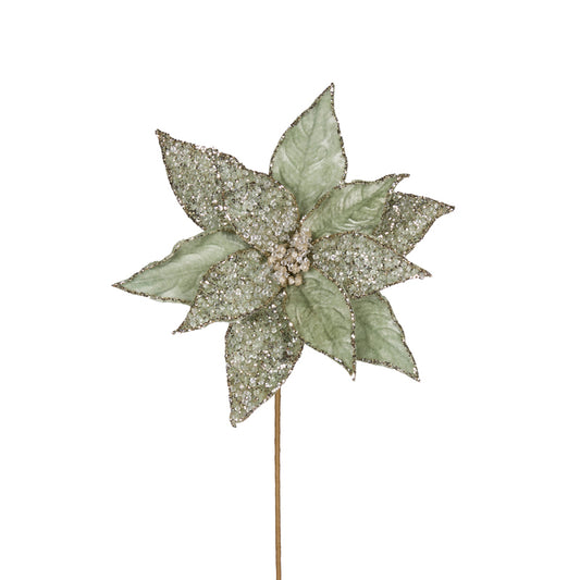 MINT FROSTED POINSETTIA