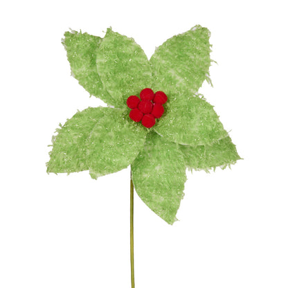 GREEN FUZZY POINSETTIA