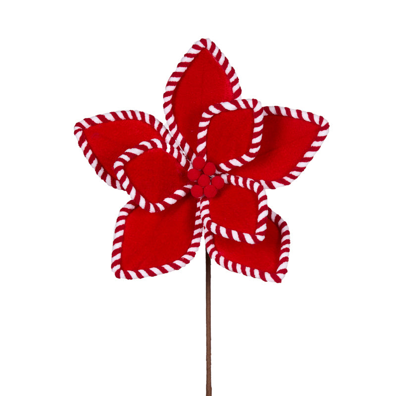 RED AND WHITE PIPED POINSETTIA