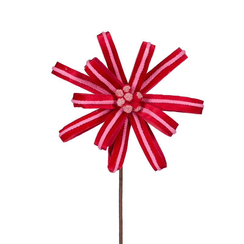 CURLY PINK AND RED LOOP POINSETTIA