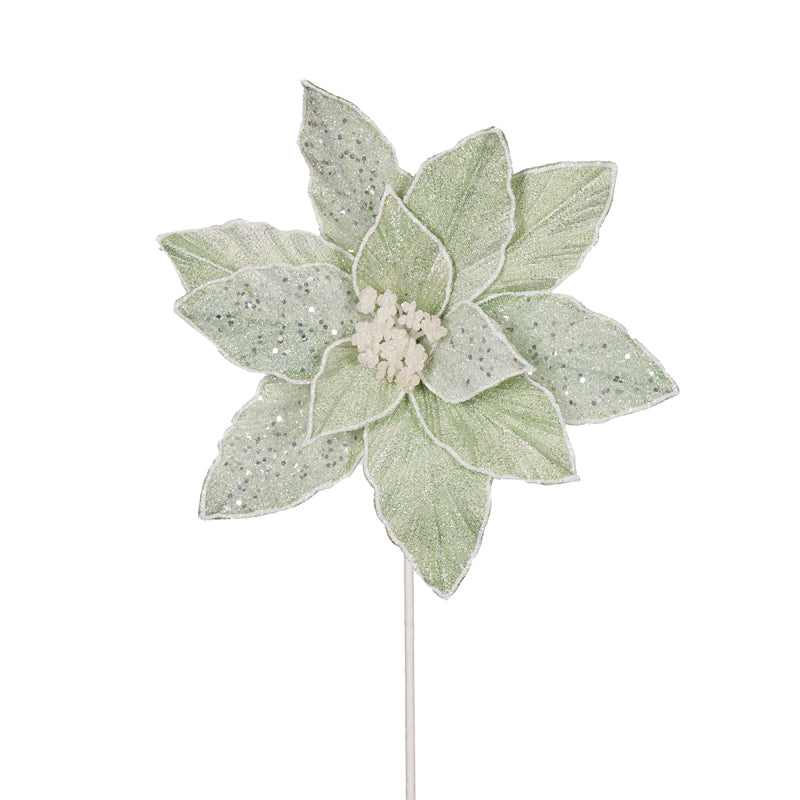 FROSTED MINT POINSETTIA