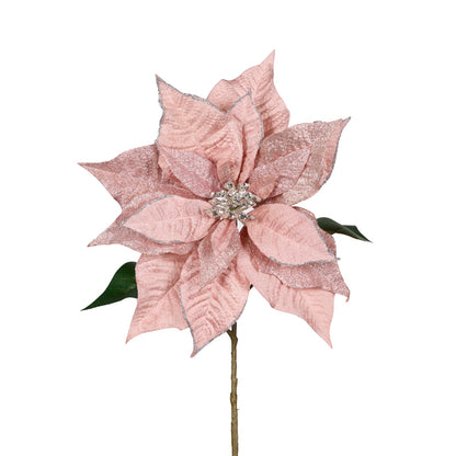 NATURAL BLUSH POINSETTIA STEM