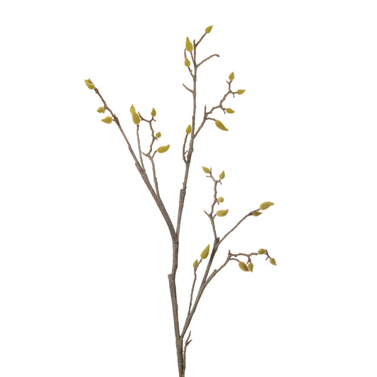 MAGNOLIA BUD STEM
